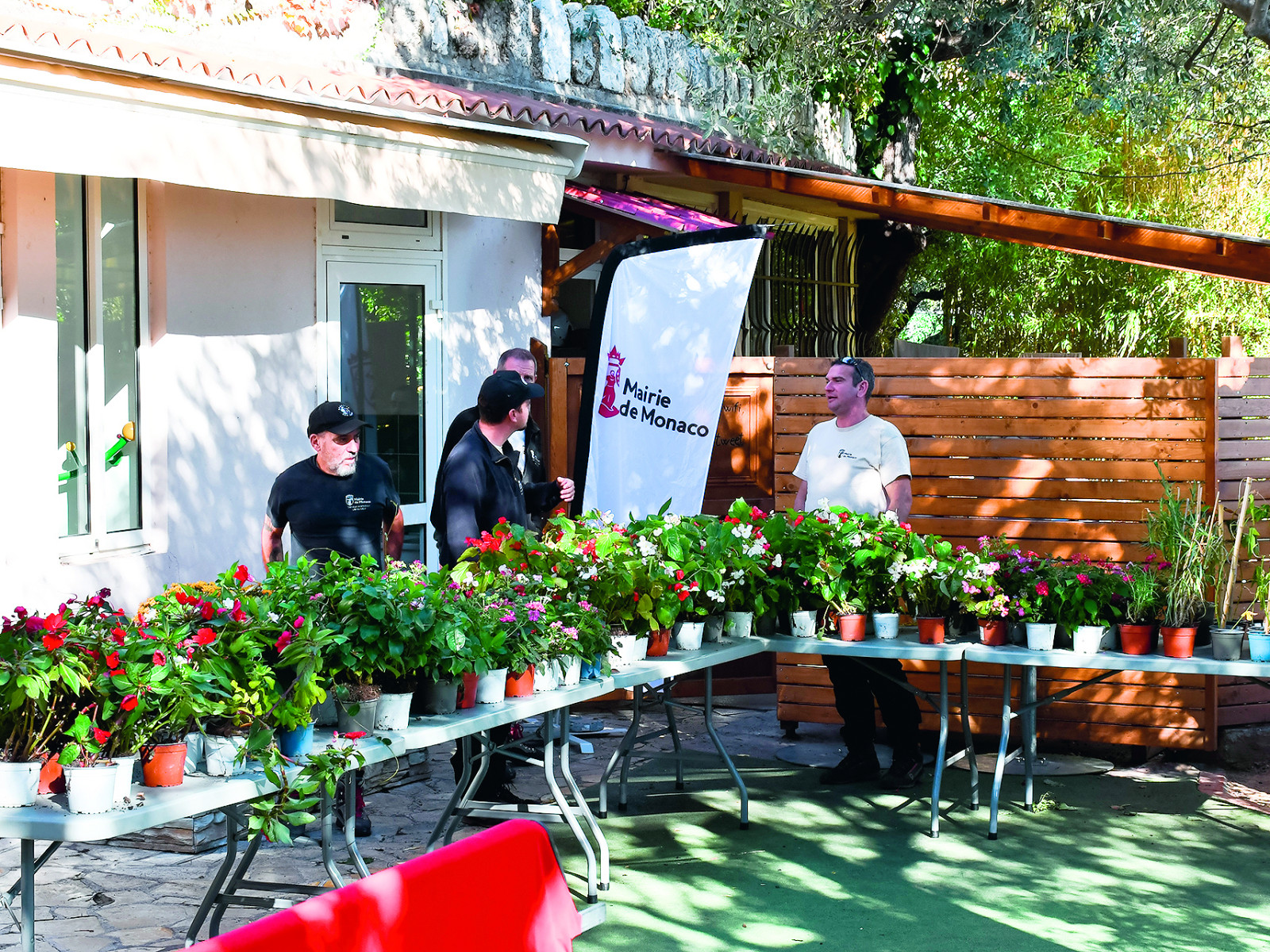 Don de plantes : une initiative verte toujours appréciée