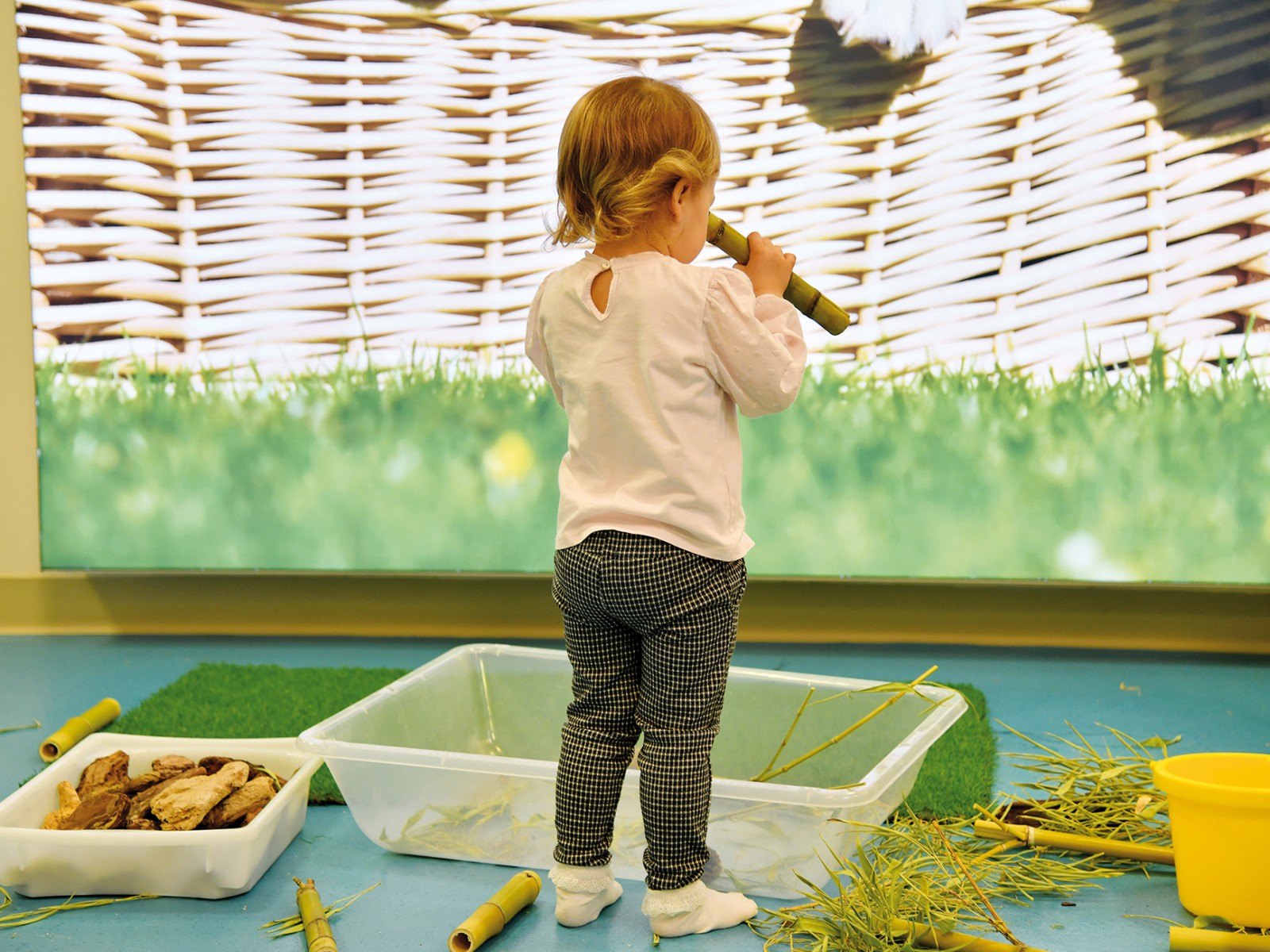 Journées à thème : découvertes « green » chez les tout-petits