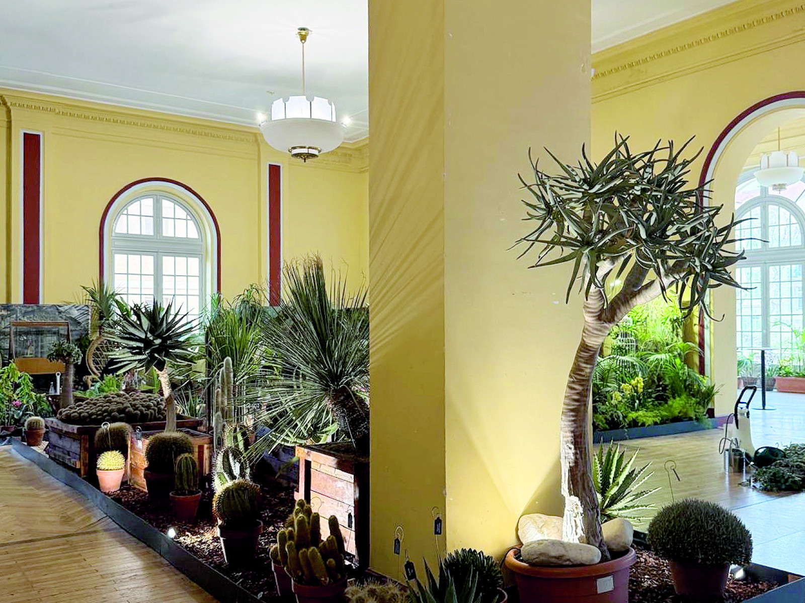 Le Jardin Exotique s’expose à Menton