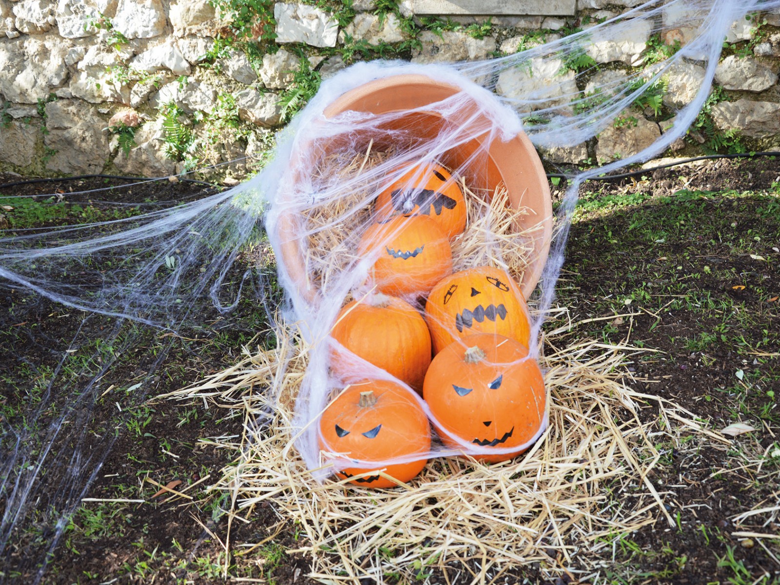 Halloween  au Parc Princesse Antoinette…