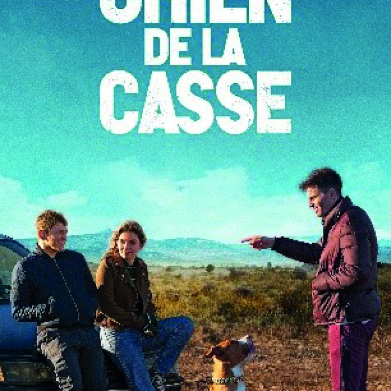 Chien de la casse