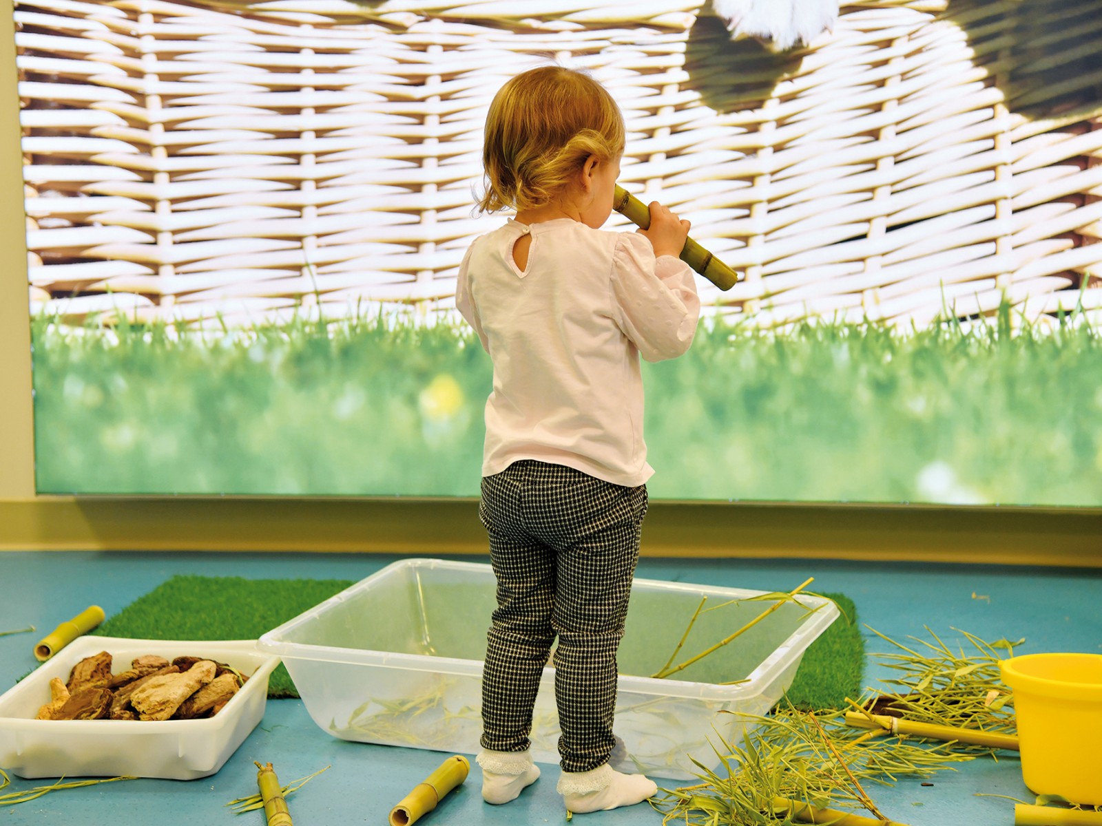 Journées à thème : découvertes « green » chez les tout-petits