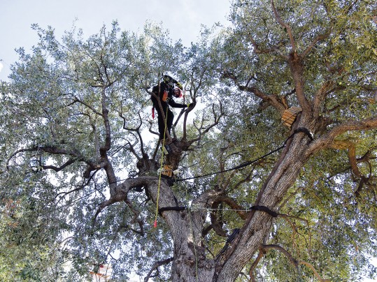 À la rencontre des jardiniers du Parc Princesse Antoinette