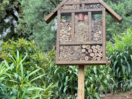 Des hôtels à insectes au Parc Princesse Antoinette