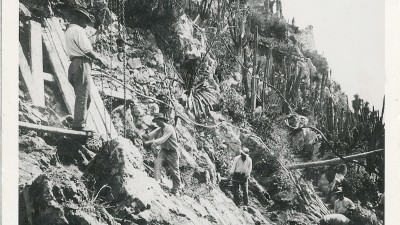 Un Jardin Exotique en Principauté : histoire de la création d’un site d’exception sous le règne du Prince Albert Ier