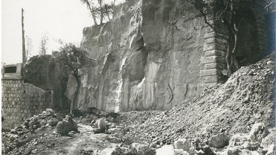 Un Jardin Exotique en Principauté : histoire de la création d’un site d’exception sous le règne du Prince Albert Ier