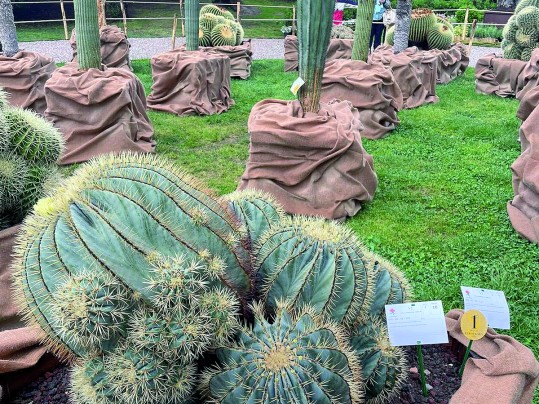 Le Jardin Exotique plébiscité au Salon Euroflora